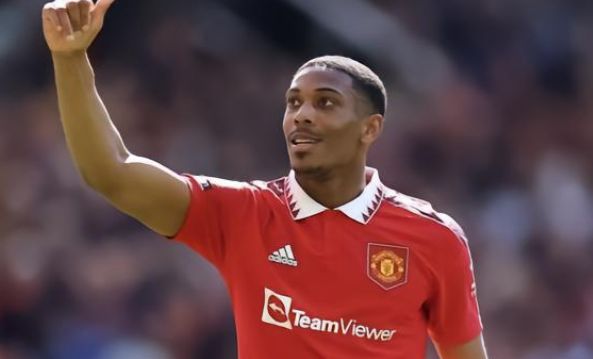 激发作用 激发作用